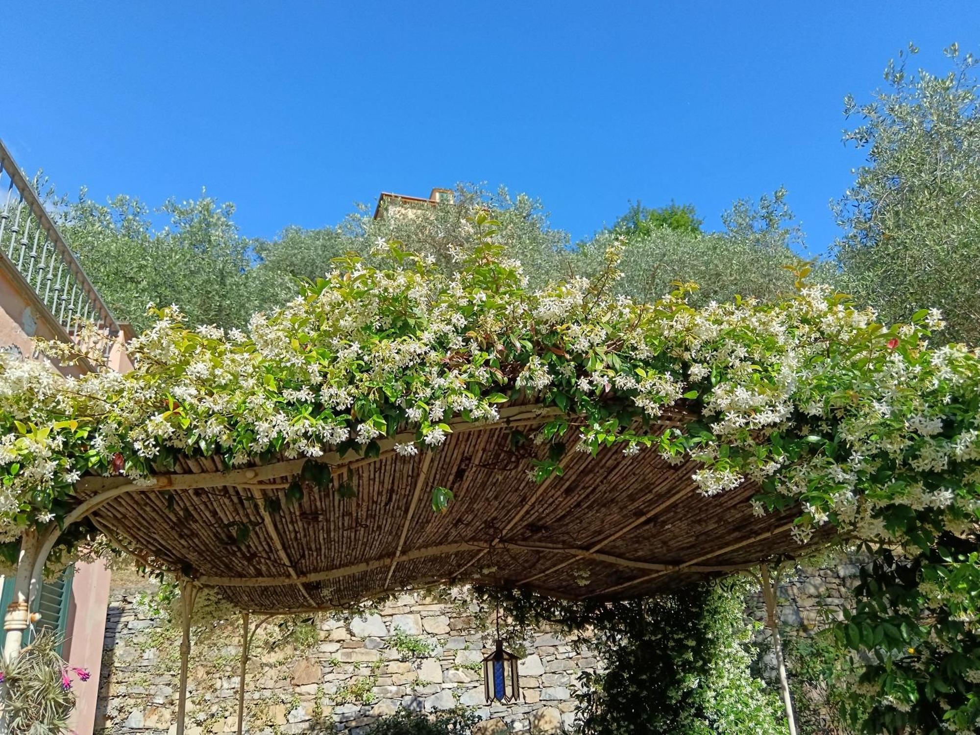 Villa Albachiara Camogli Exterior foto